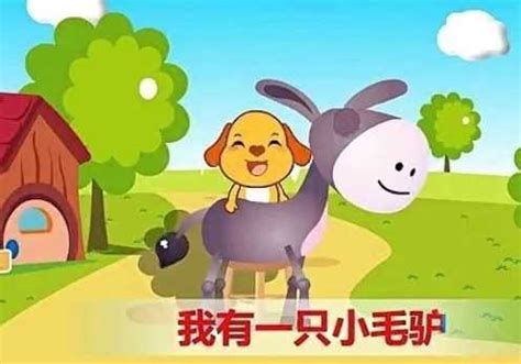 donkey 中文